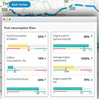 PROFESSIONAL FUEL ADVISING
