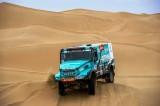 Stage 12 - #310 Ardavicius IVECO